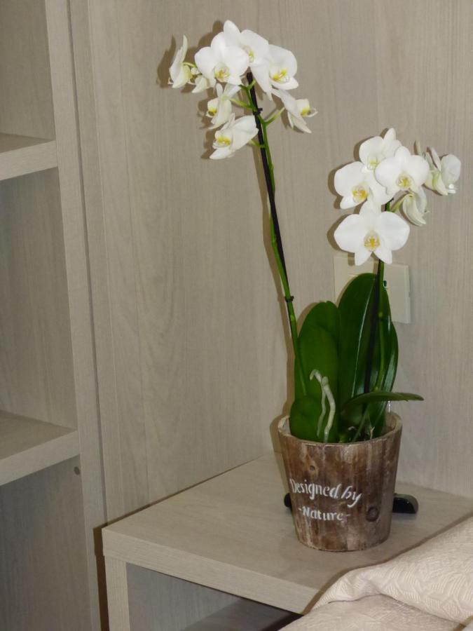 Design Astra Misano Adriatico